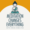 Meditation Changes Everything - Craig Hamilton