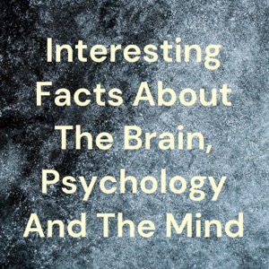 Interesting Facts About The Brain, Psychology And The Mind
