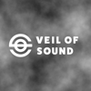 Veil of Sound Interviews - Veil of Sound