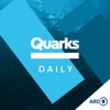 Quarks Daily