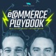 Ecommerce Playbook: Numbers, Struggles &amp; Growth