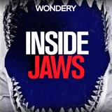 Introducing Inside Jaws