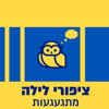 ציפורי לילה מתגעגעות - גלצ