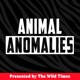 Is the Moa Still Alive? - Animal Anomalies Ep. 12