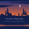 Audio Signals artwork
