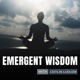 emergent wisdom
