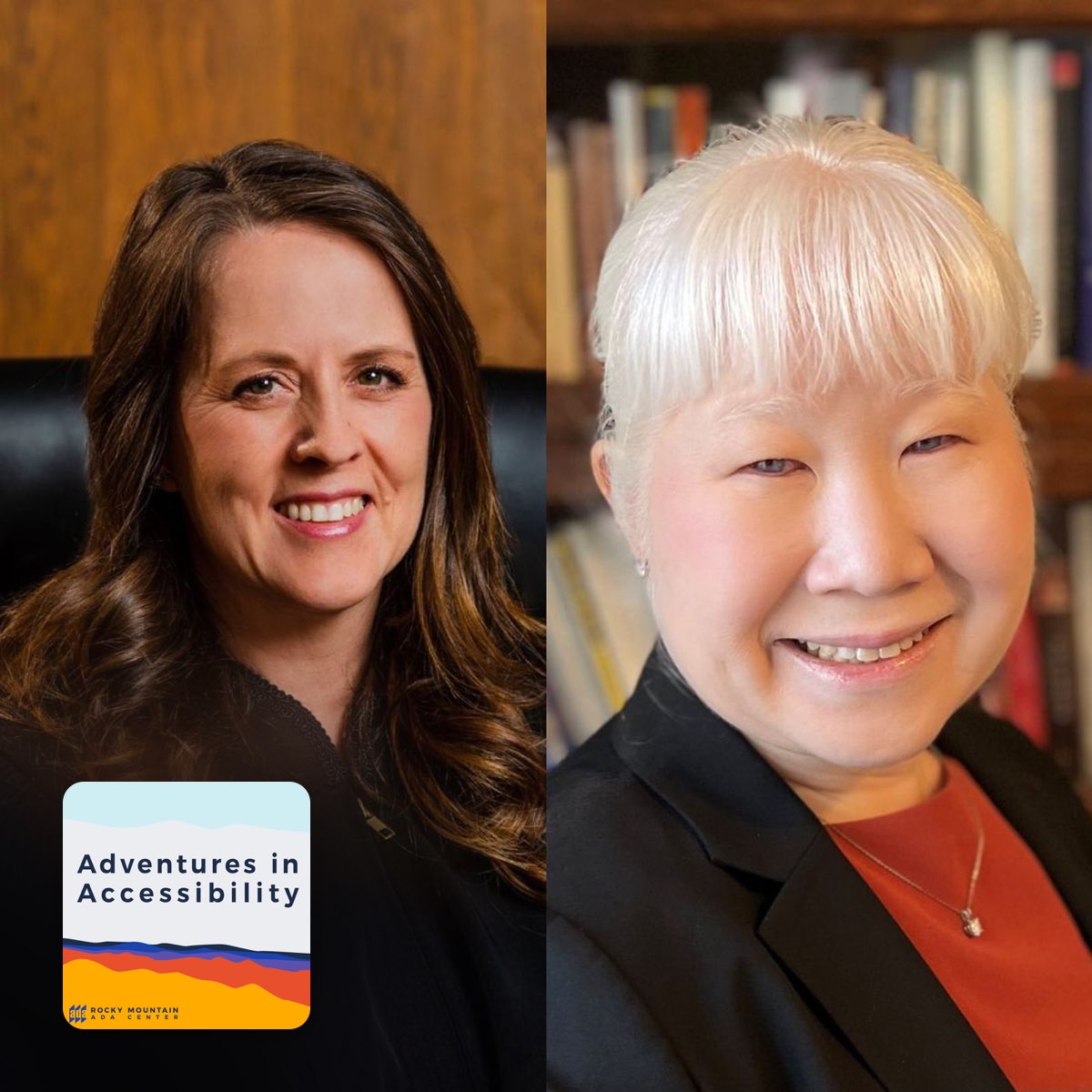 Ep 45 Judge Anita Schutte a Adventures in Accessibility Apple