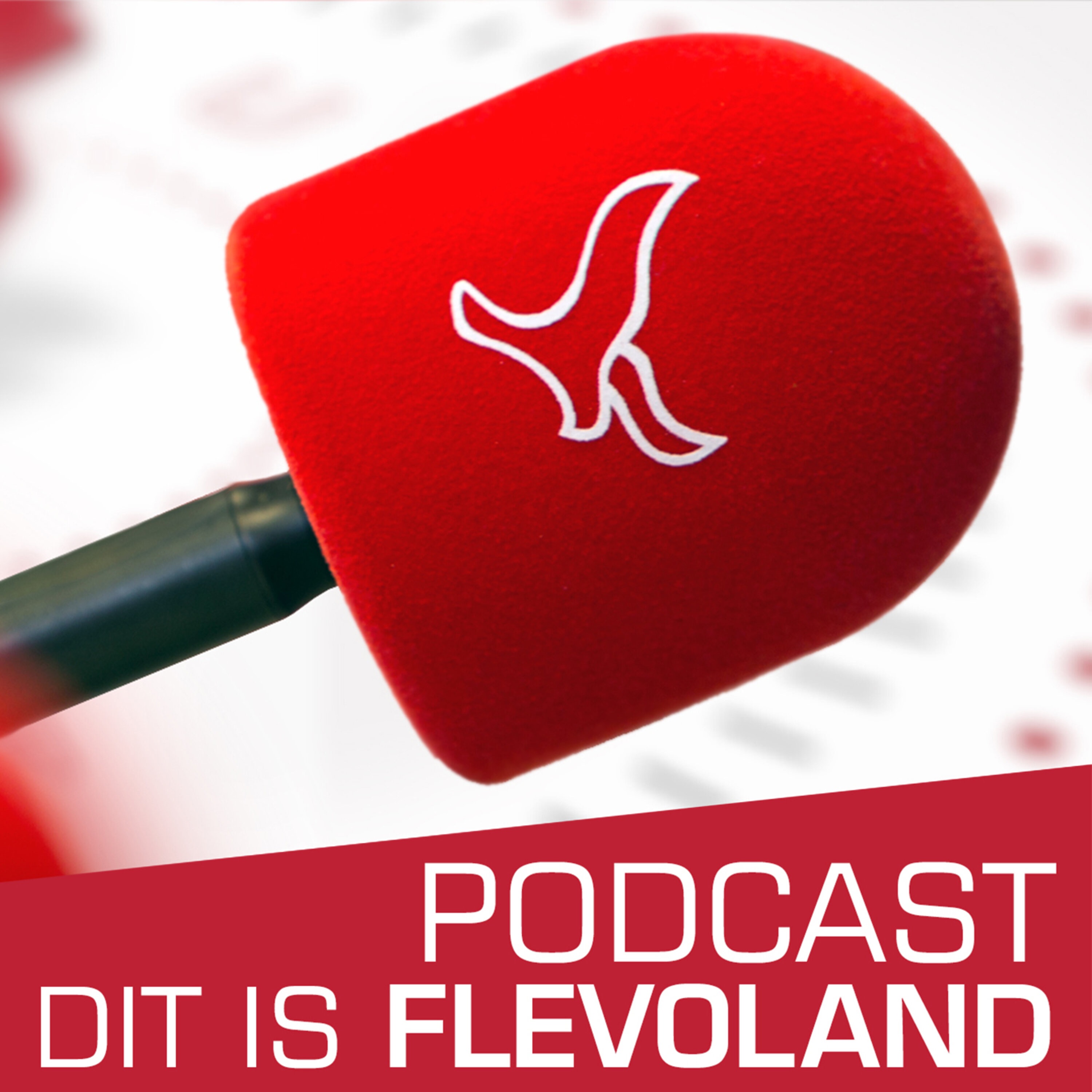 wat-is-er-gebeurd-met-de-miljoenen-euro-s-van-het-flevolands