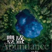 《豐盛 》｜ 杨定一著 张婉琦（选读）