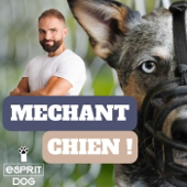 Méchant Chien - Esprit Dog