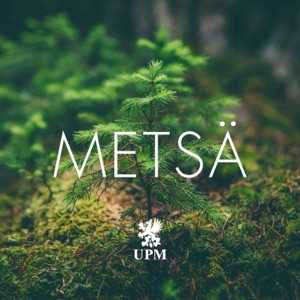 Metsä