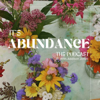 It's Abundance The Podcast - Addison Jones
