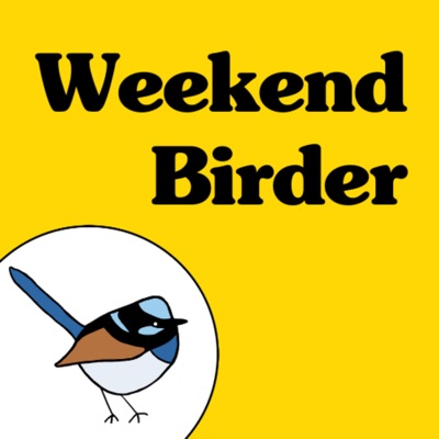 Weekend Birder:Kirsty Costa