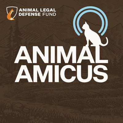 Animal Amicus