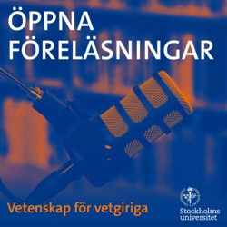 Lagarnas historia och våra mänskliga behov