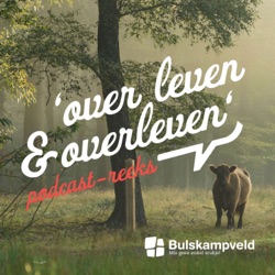 Het kasteelleven in Landschapspark Bulskampveld