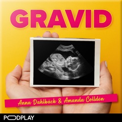 Gravid