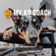 Ep 14: What's a Dog Trainer's Job?