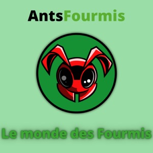 AntsFourmis - Le monde des Fourmis