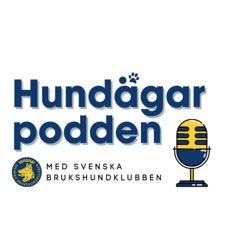 Hundar i människans tjänst