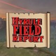 Hyrule Field Report