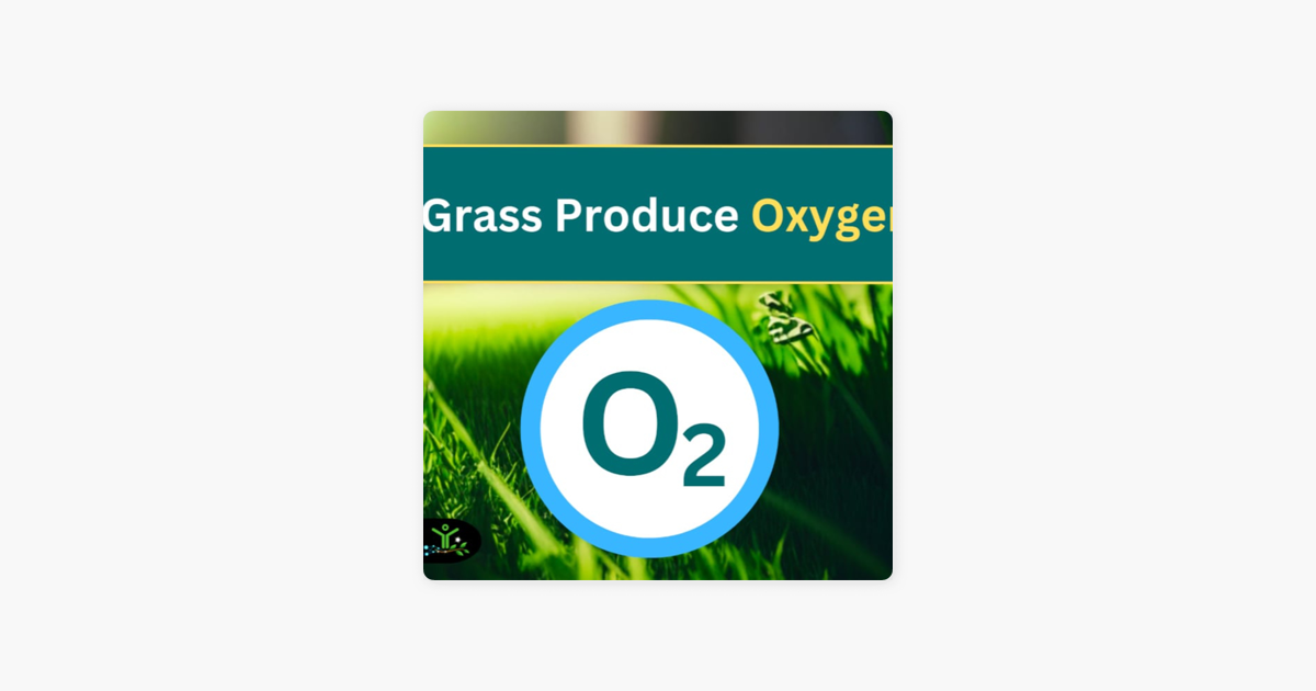  sustainability success does grass produce oxygen and vs trees on