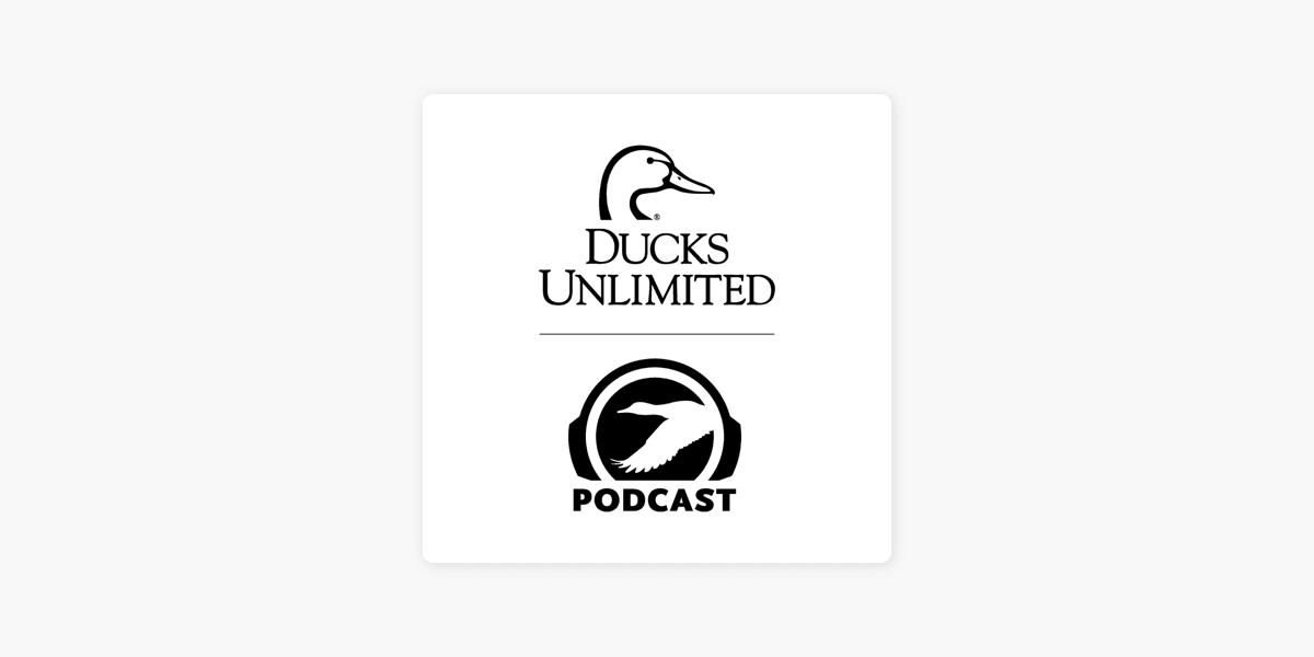 Stream episode Duck Life: Space Mouth by faynatical podcast