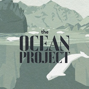 the OCEAN PROJECT