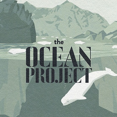 the OCEAN PROJECT