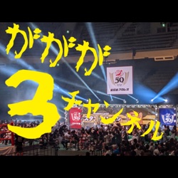 ががが３チャンネル【プロレス】