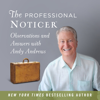 The Professional Noticer - Andy Andrews