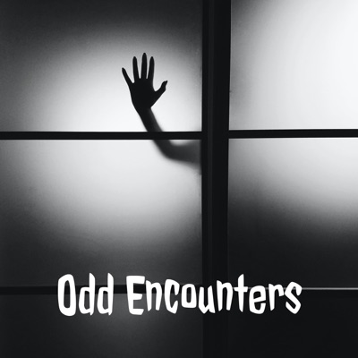 Odd Encounters