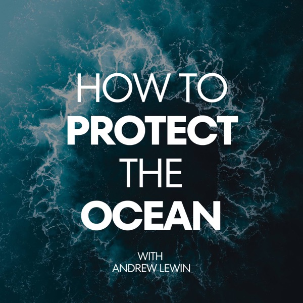 How To Protect The Ocean Image