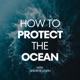 How To Protect The Ocean