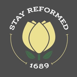 Stay Reformed
