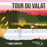 #4 Tour du Valat - France 🇫🇷