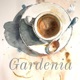 Gardenia