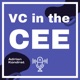 VC in the CEE