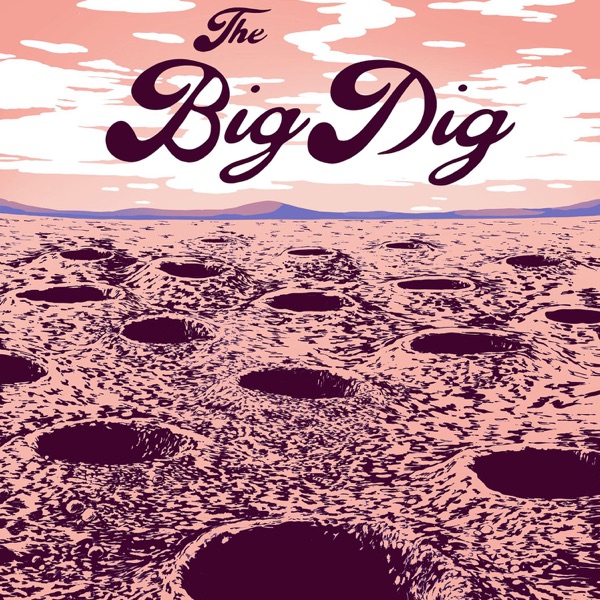 238 - The Big Dig photo