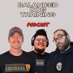 Another Dog Training Q&A Episode