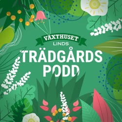 Avsnitt 18 - Helande trädgård