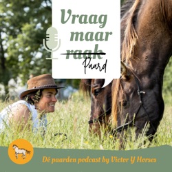 Vraag maar Paard : Paardenpodcast by Victor-y-horses