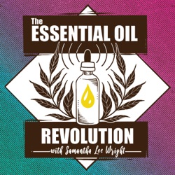 399: The Many Benefits of Yarrow (Achillea Millefolium) Essential Oil (Solosode)