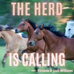 The Herd is Calling