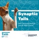 Synaptic Tails