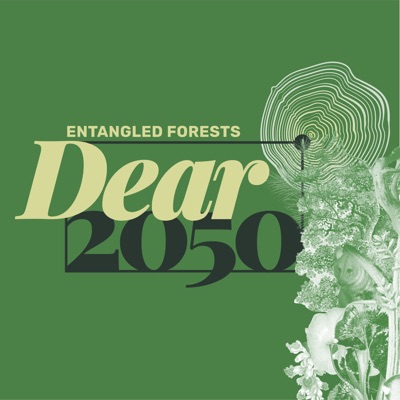 Dear2050: Hotcast