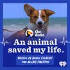 An Animal Saved My Life