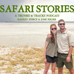Episode 26: A Cracking Kruger Safari