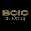 BCIC Academy artwork