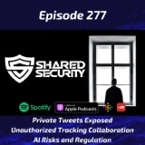 Private Tweets Exposed, Unauthorized Tracking Collaboration, AI Risks and Regulation